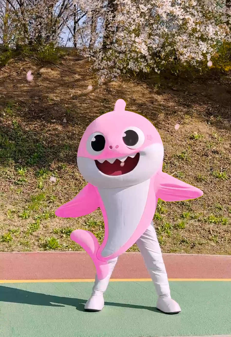 @Baby Shark Official