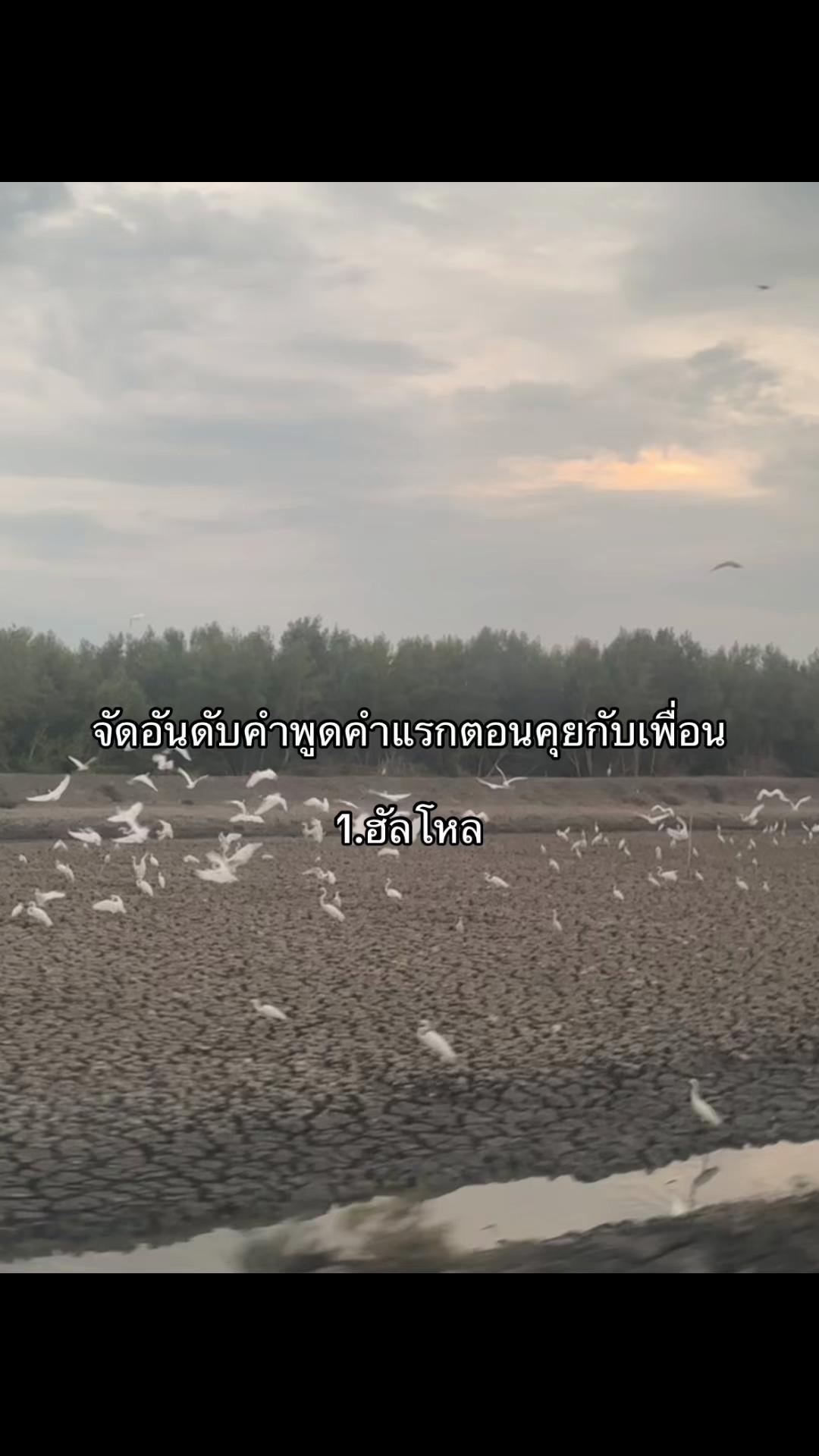 @เธรดตามอารมณ์❔ ❕