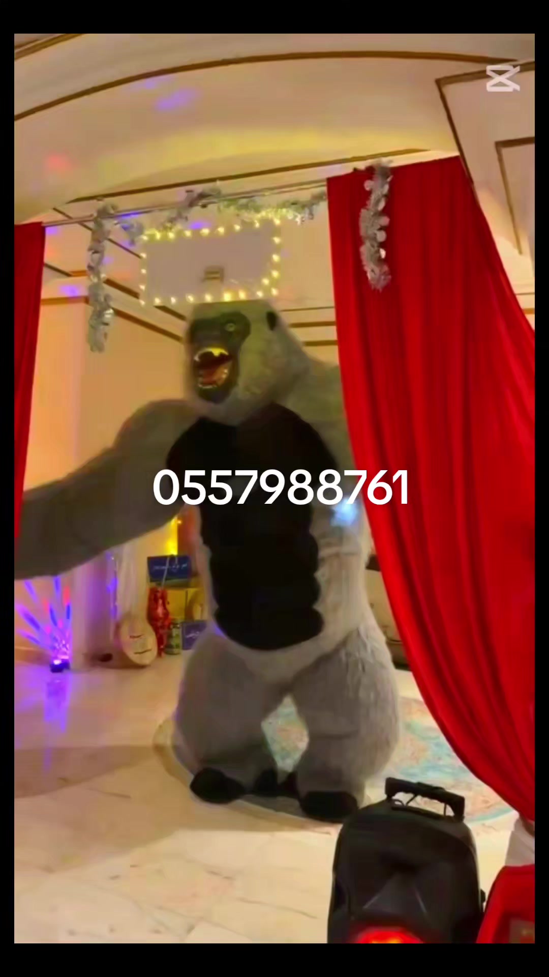 @🤡 مهرجه فطوووم🤡
