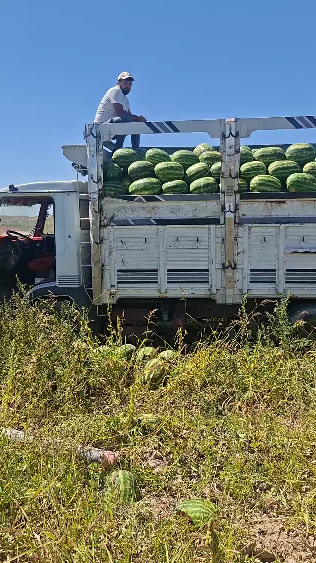 @İsmail tan