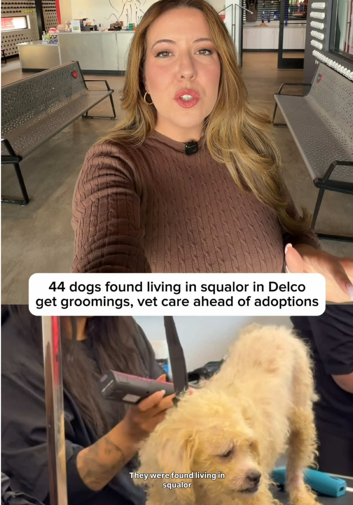 @amandapitts_tv