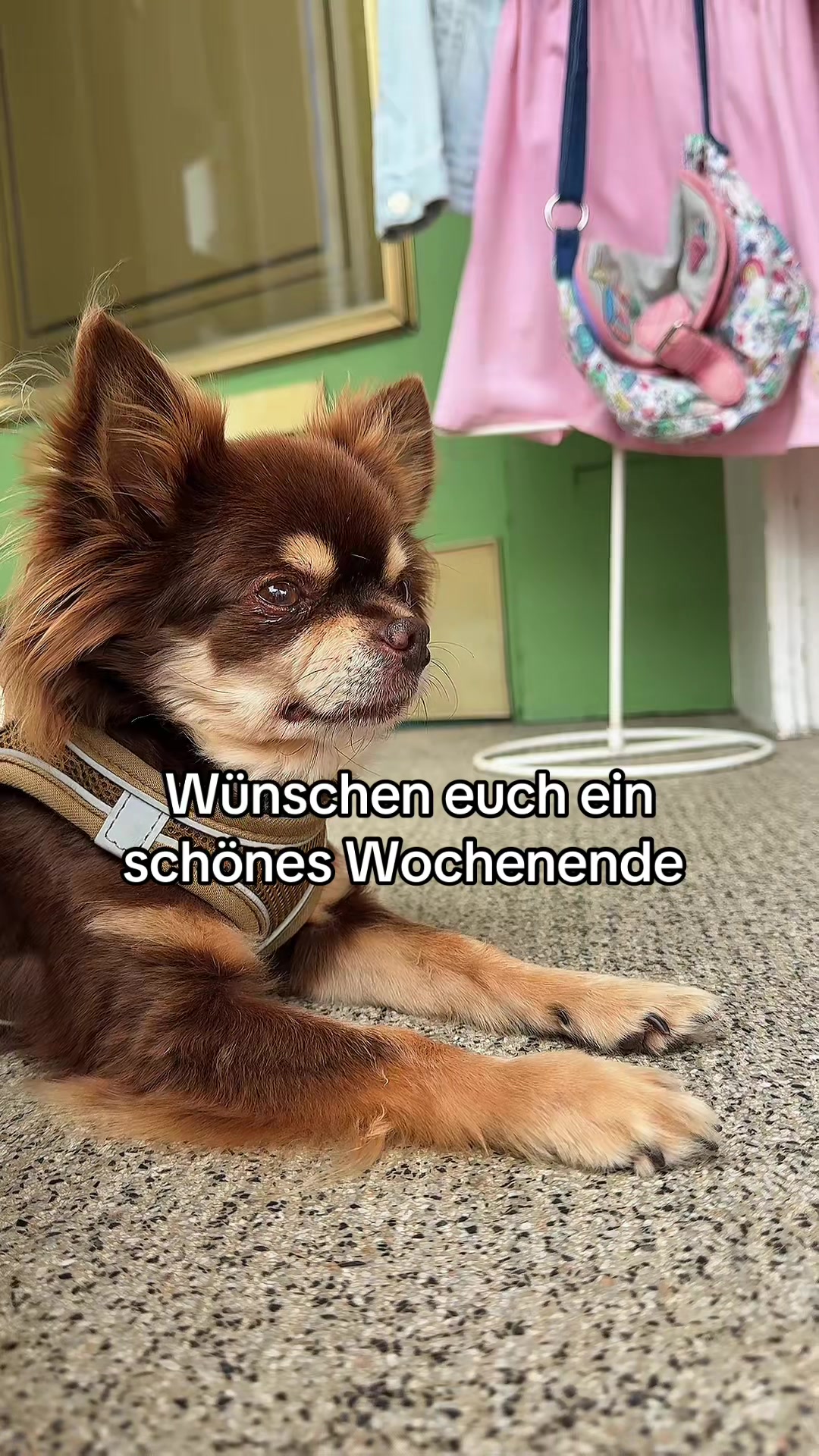@Hɪᴍʙäʀᴄʜᴇɴ 🦅🇩🇪