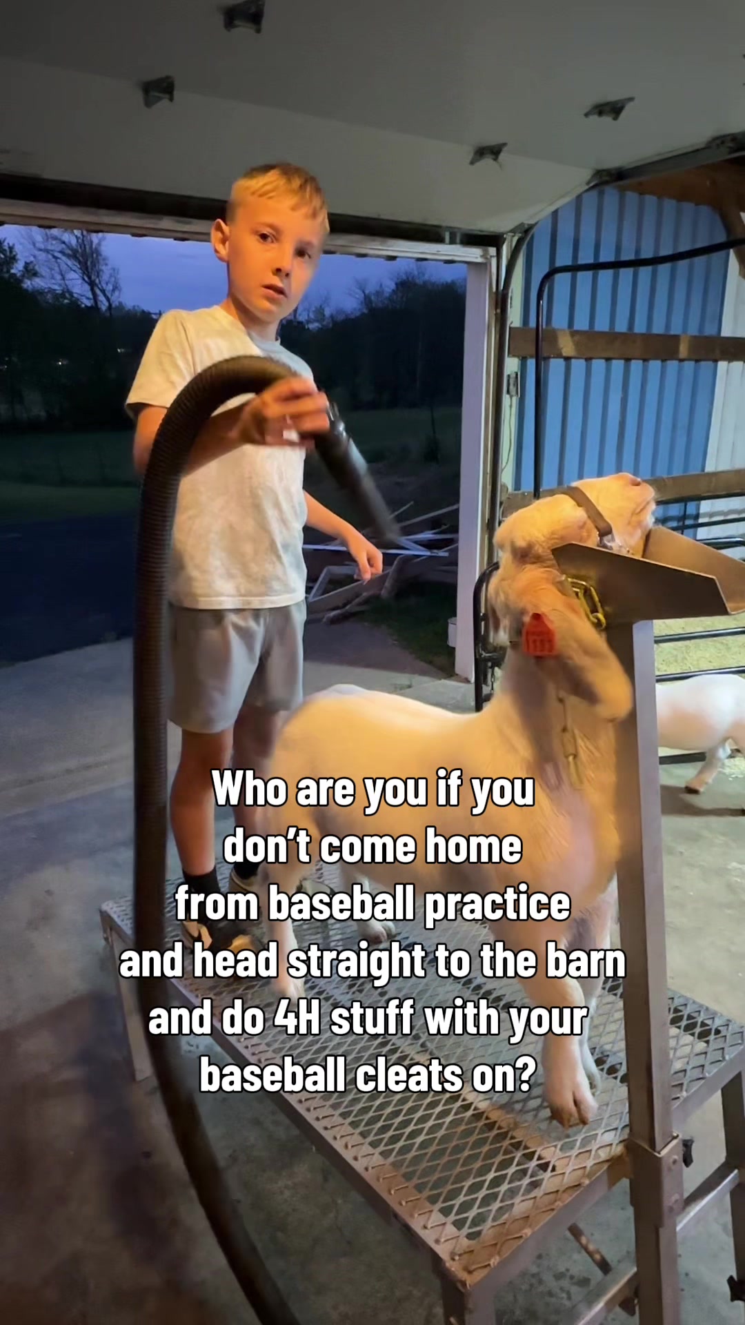 @Craft Livestock 2.0