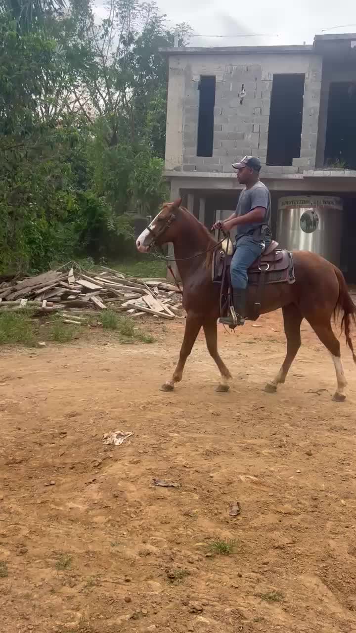 @caballero.R