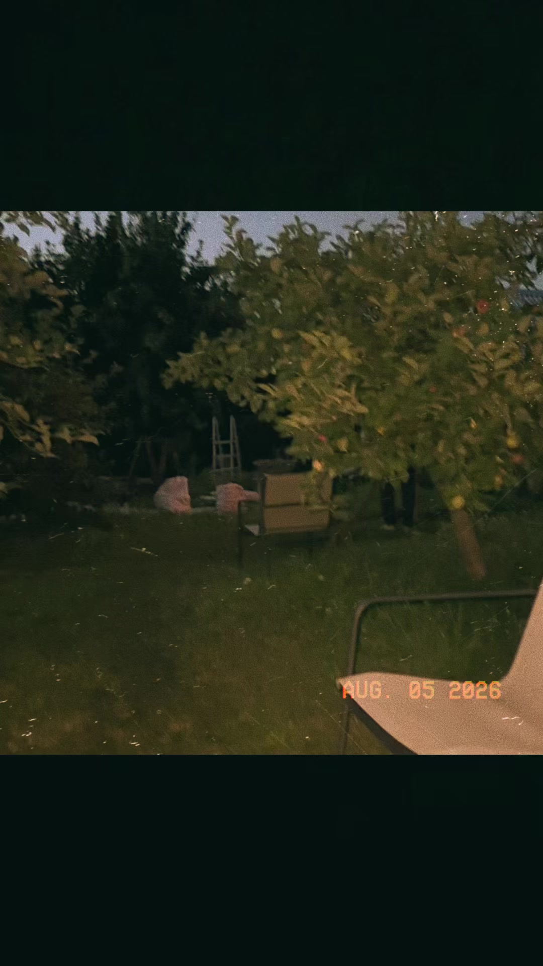 @Мышонок