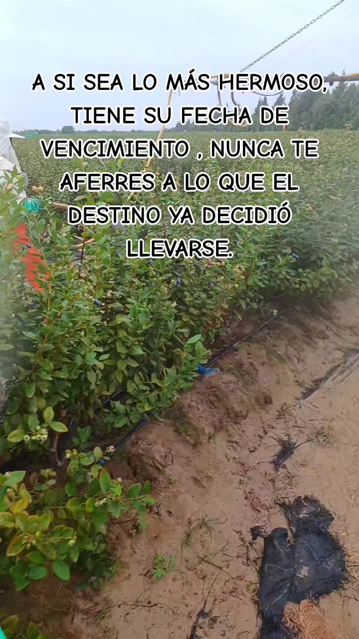 @▪︎¥○RFA¡S.~♤