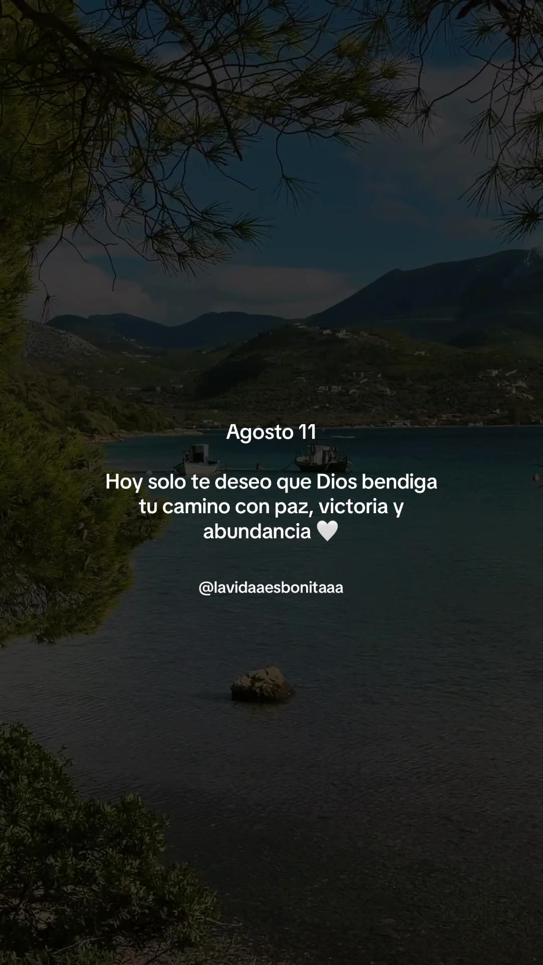 @vidabonita❤️🩹