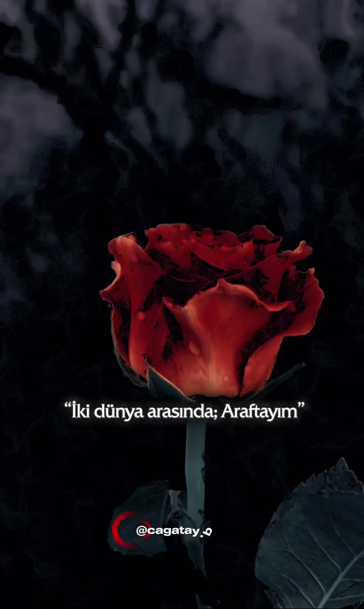 @Hasret🍁