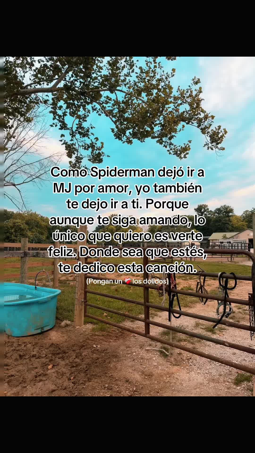 @Yulis C 🤍🕊️