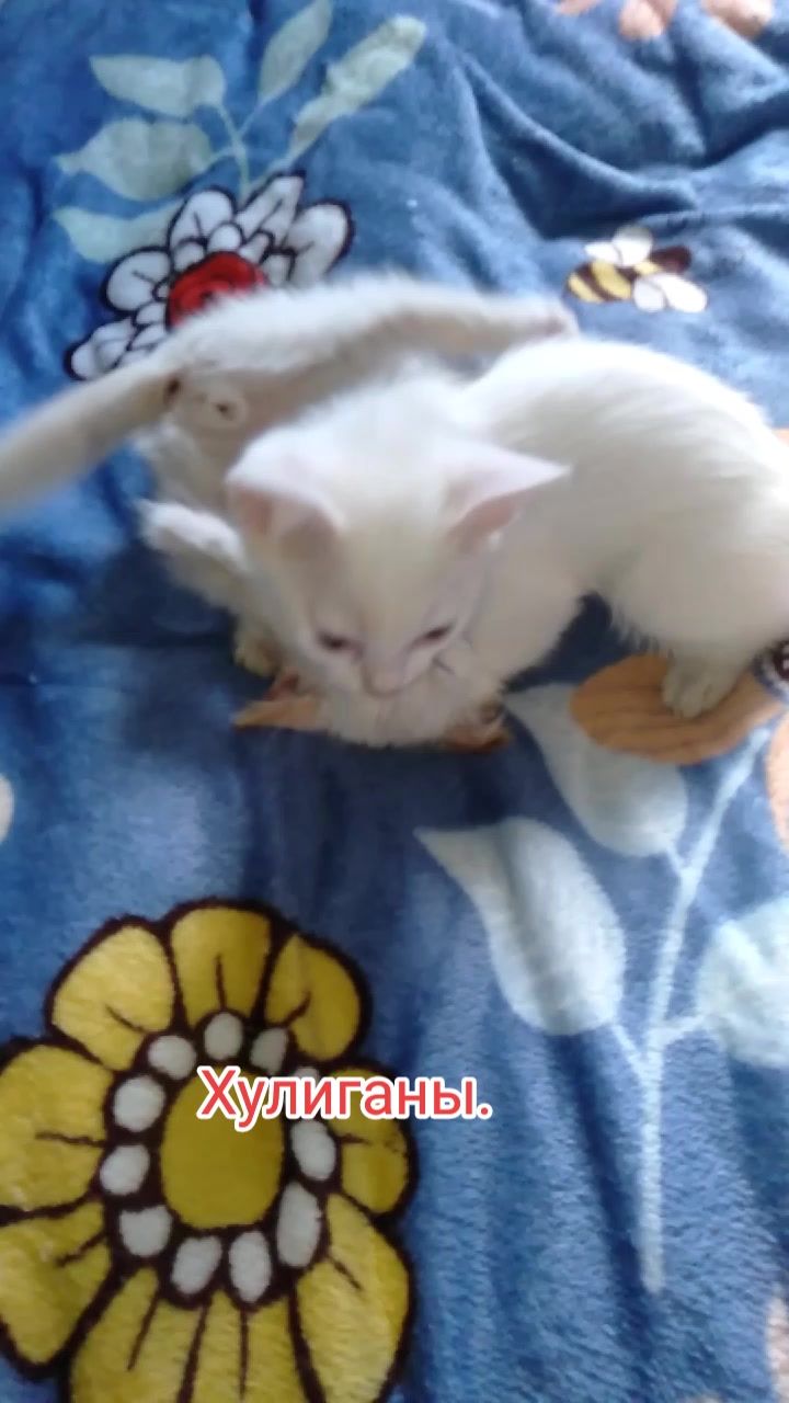 @chertkova Наталья