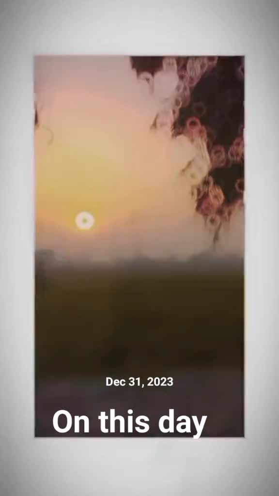 @Cricket X Memes
