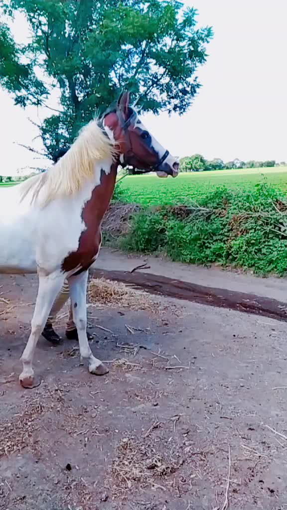 @attitude_boy_yuvi