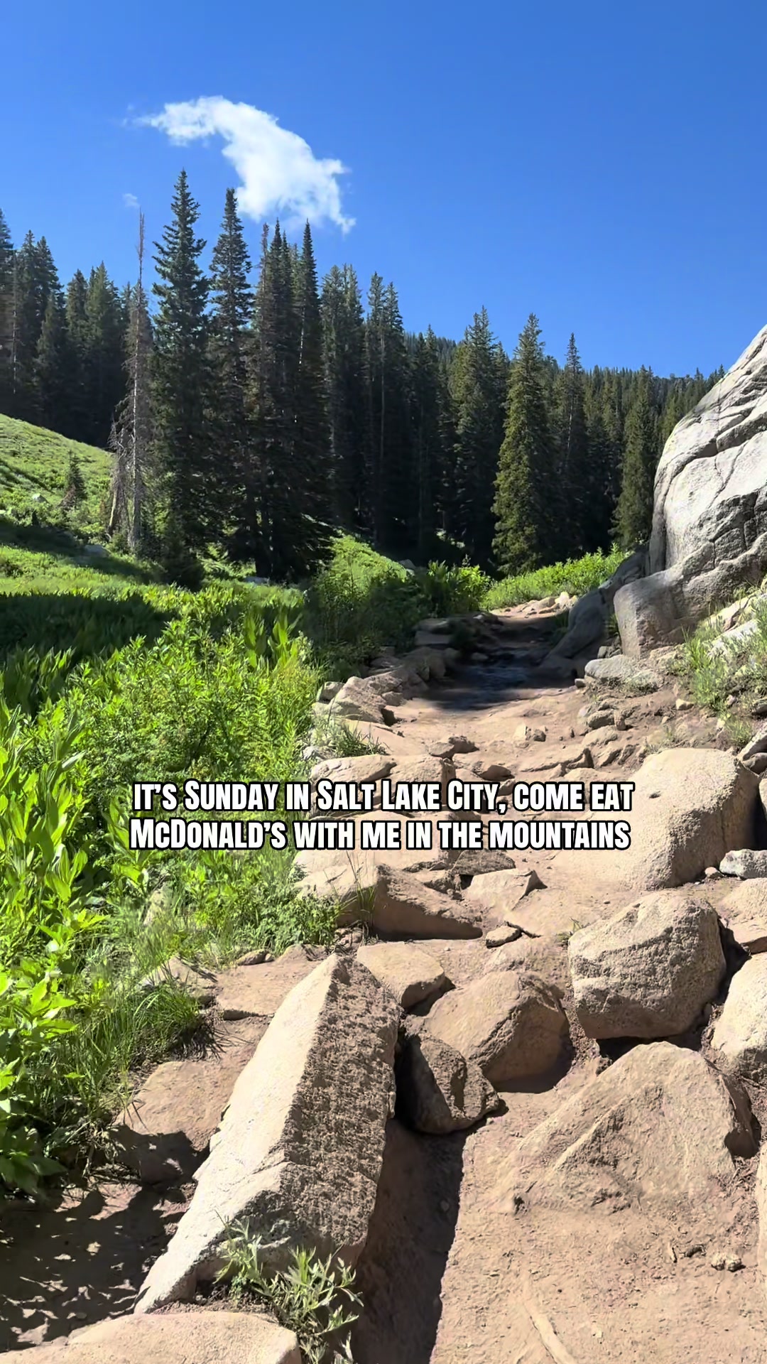 @Hike It Like That โ๐ผ