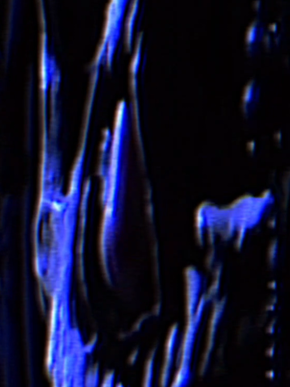 @1bullet.edit