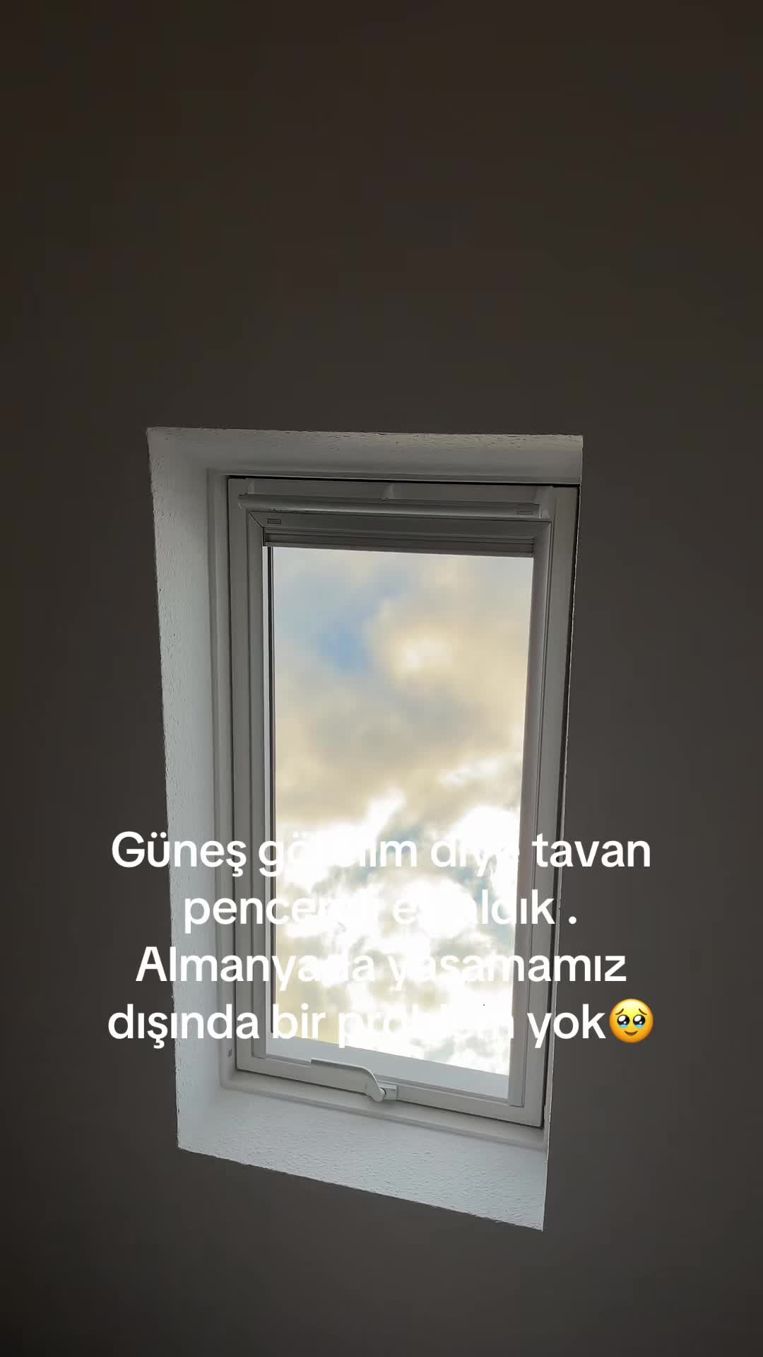 @seher neumann