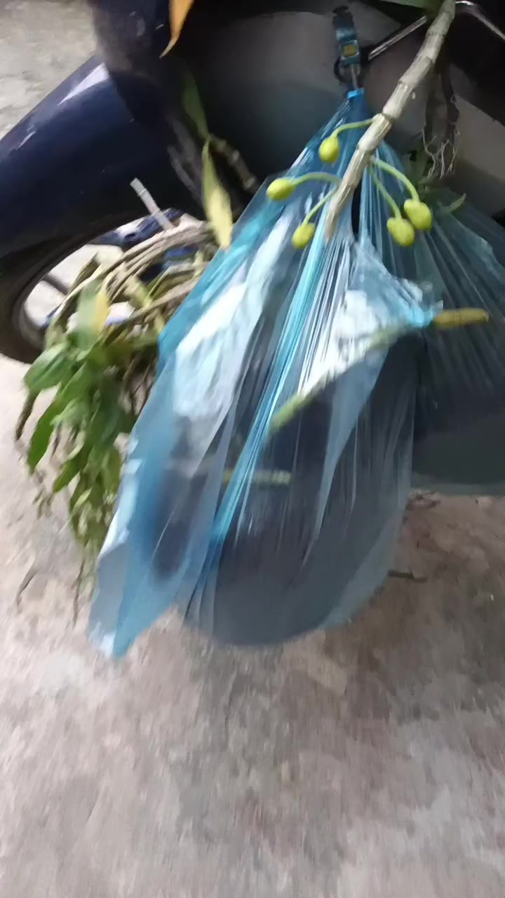 @Nguyễn Thị Hải Yến
