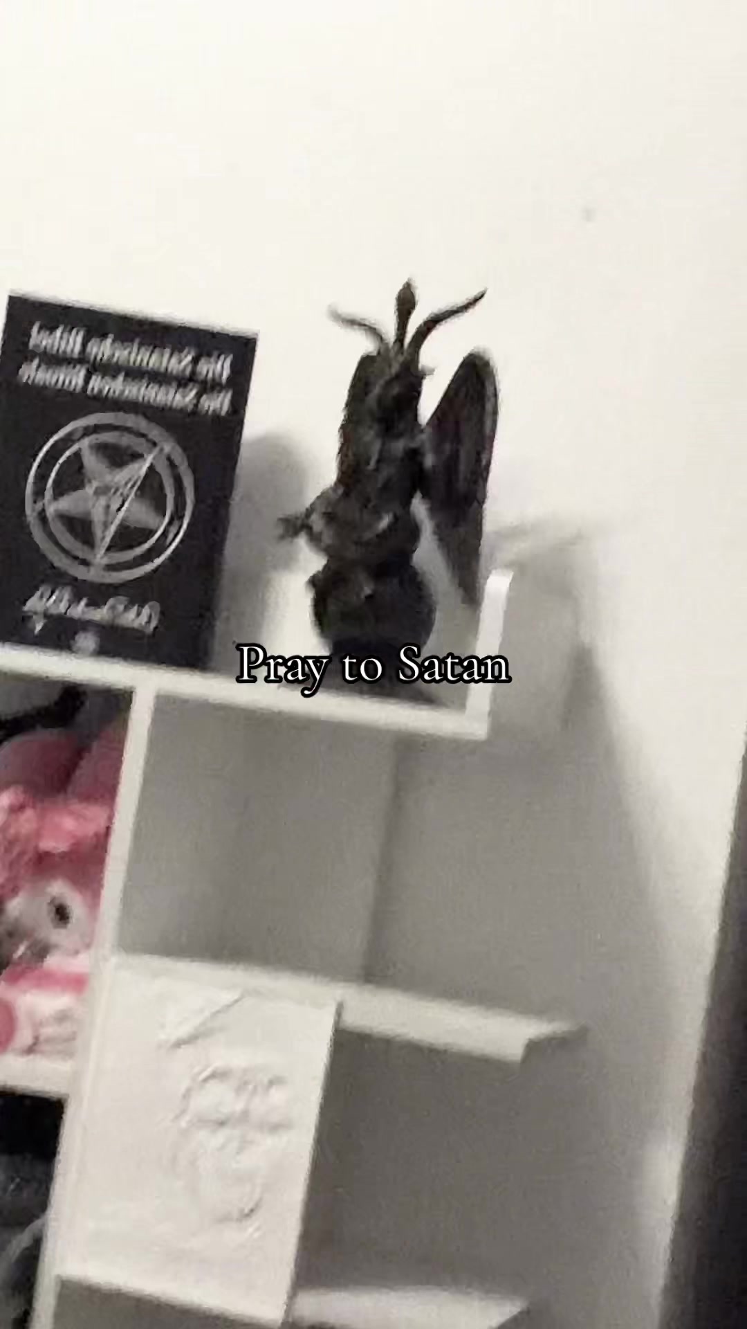 @ᡕᠵデᡁ᠊╾━ 𝔯𝔞𝔠𝔥𝔢𝔩 𖦏