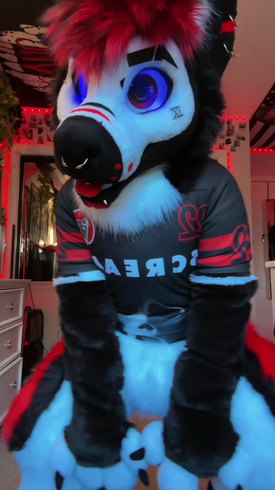 @canines_kill