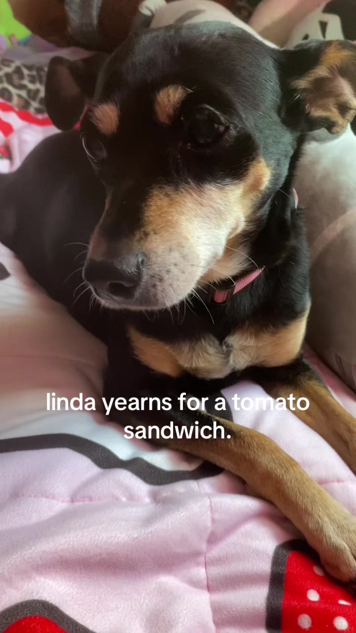 @Linda Longnips