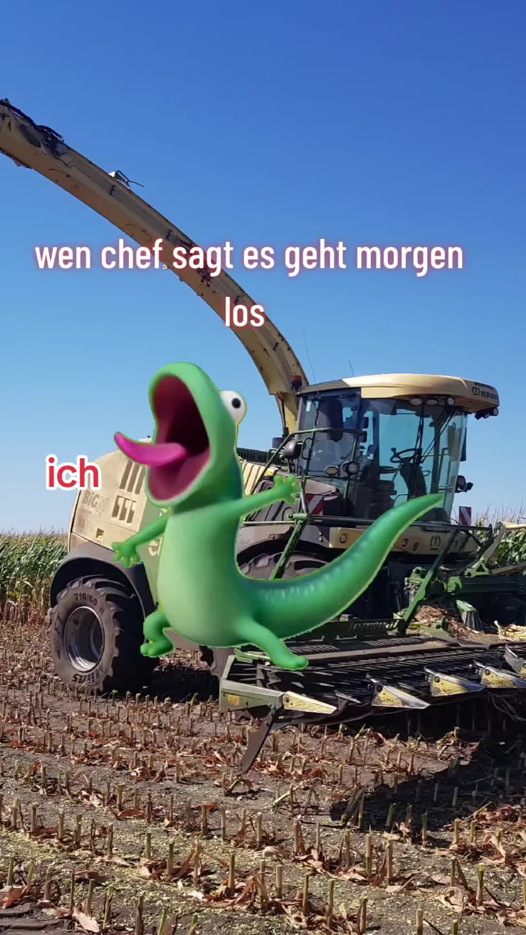 @matze