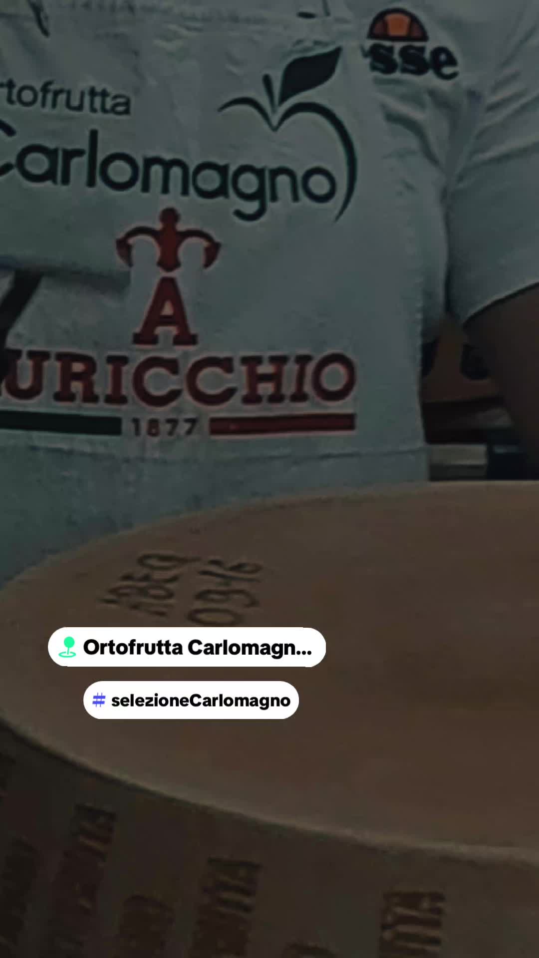 @carlomagnosalvato1