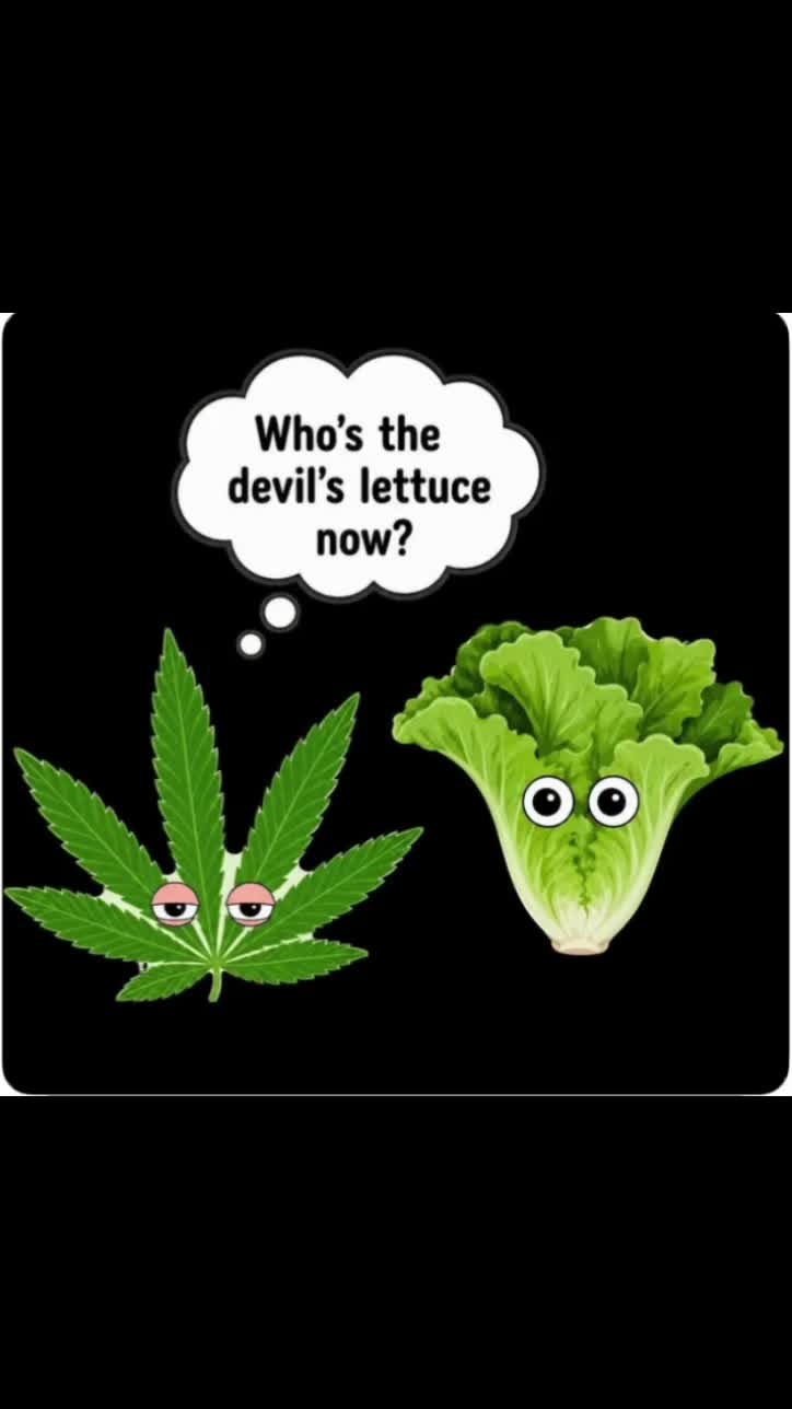 @DamnHippieFarm 🌎