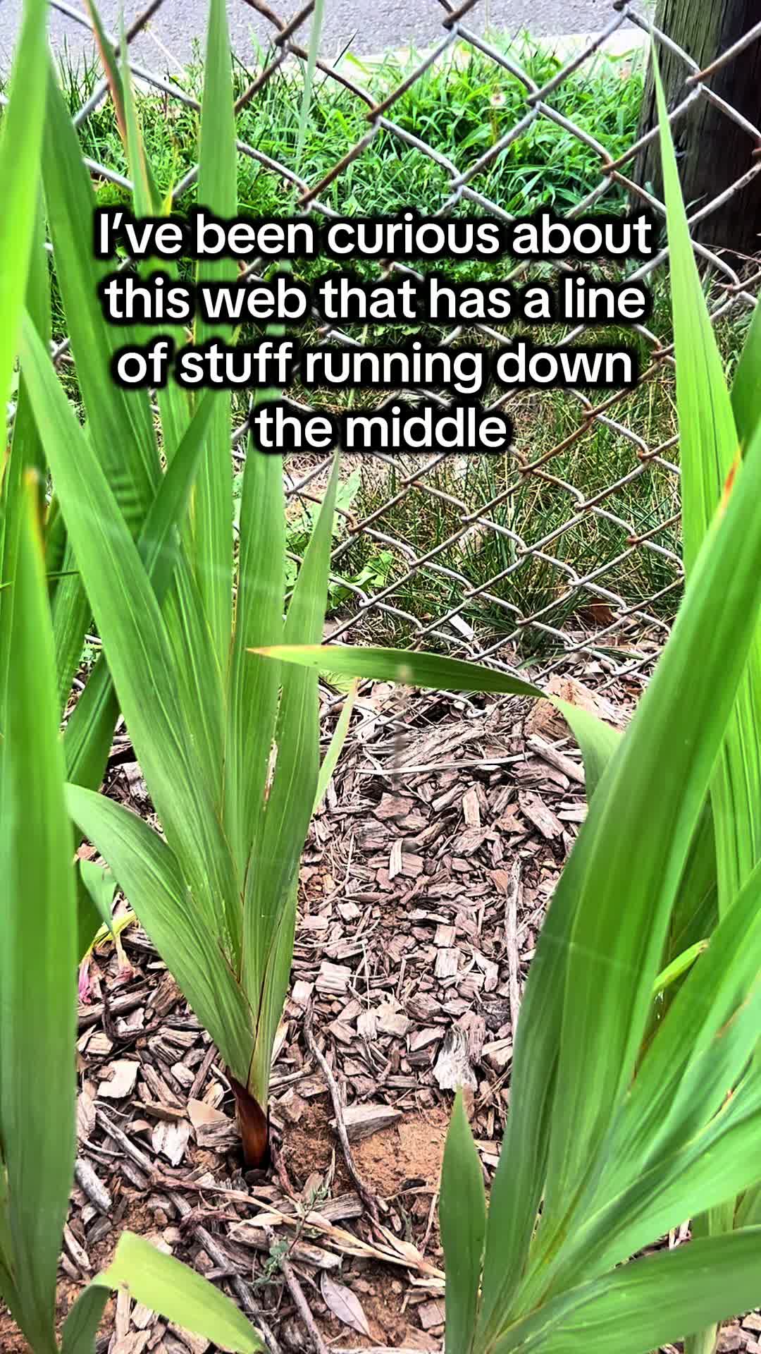 @District Gardening