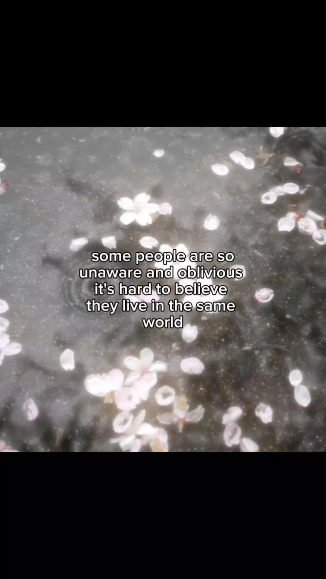 @Shinako