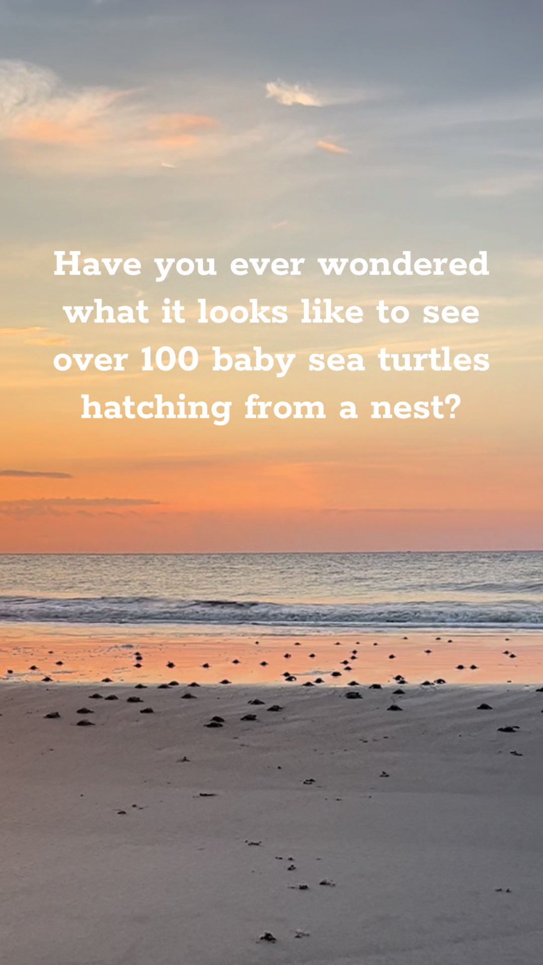 @Jekyll Island Nature Girl