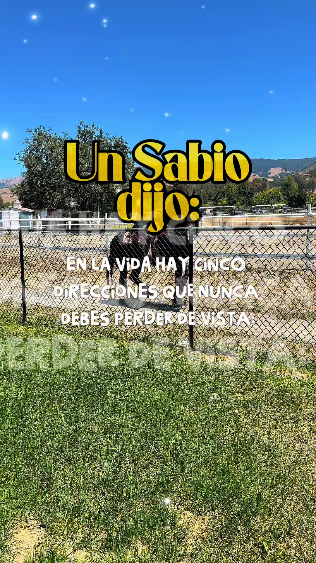 @Tavo Molina