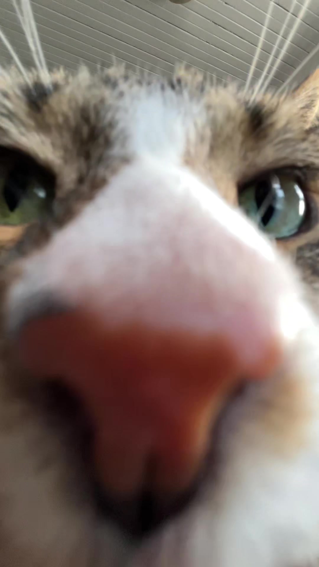 @Tiggy