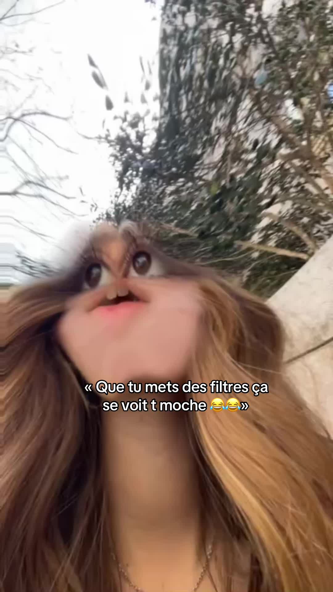 @aimy
