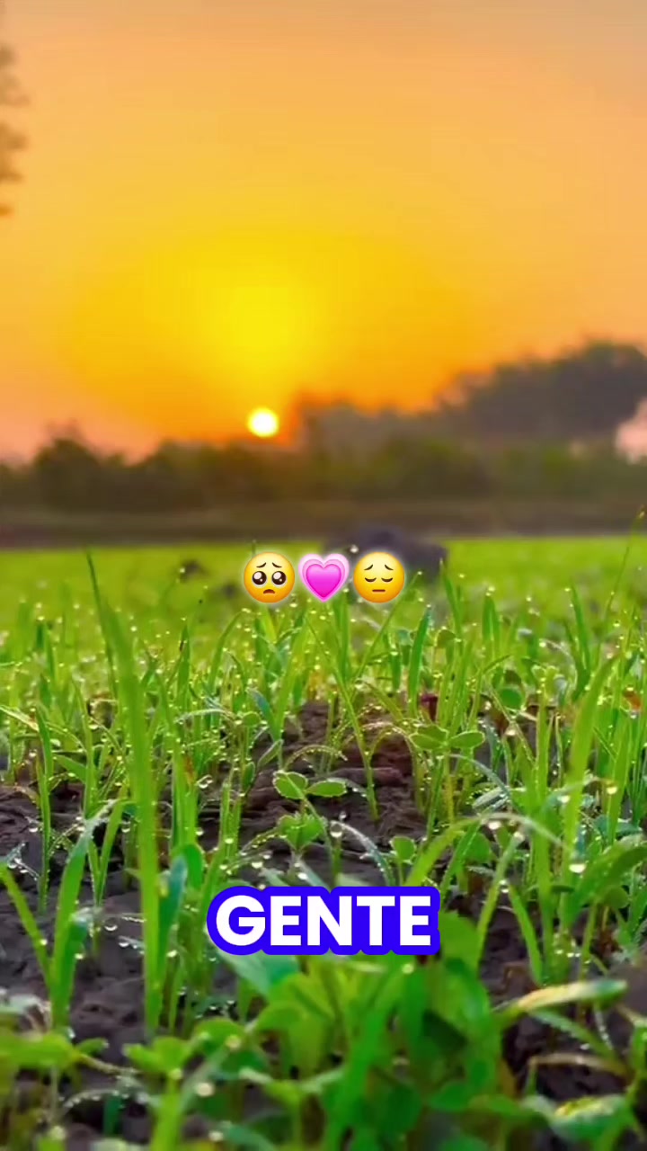 @J 😍 M 😍 Ariel 😍 H 😍 R