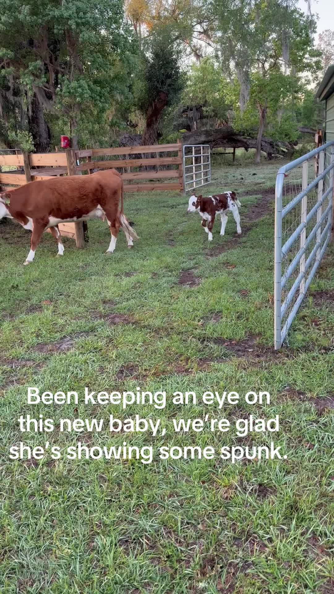 @Kelley Farms