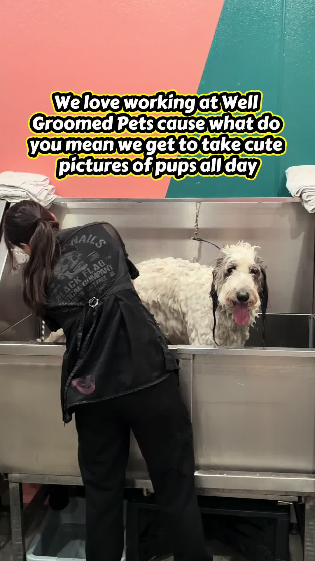 @Well Groomed Queen Creek