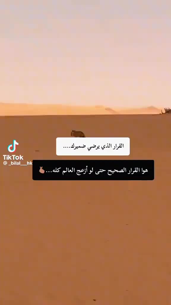@M.B