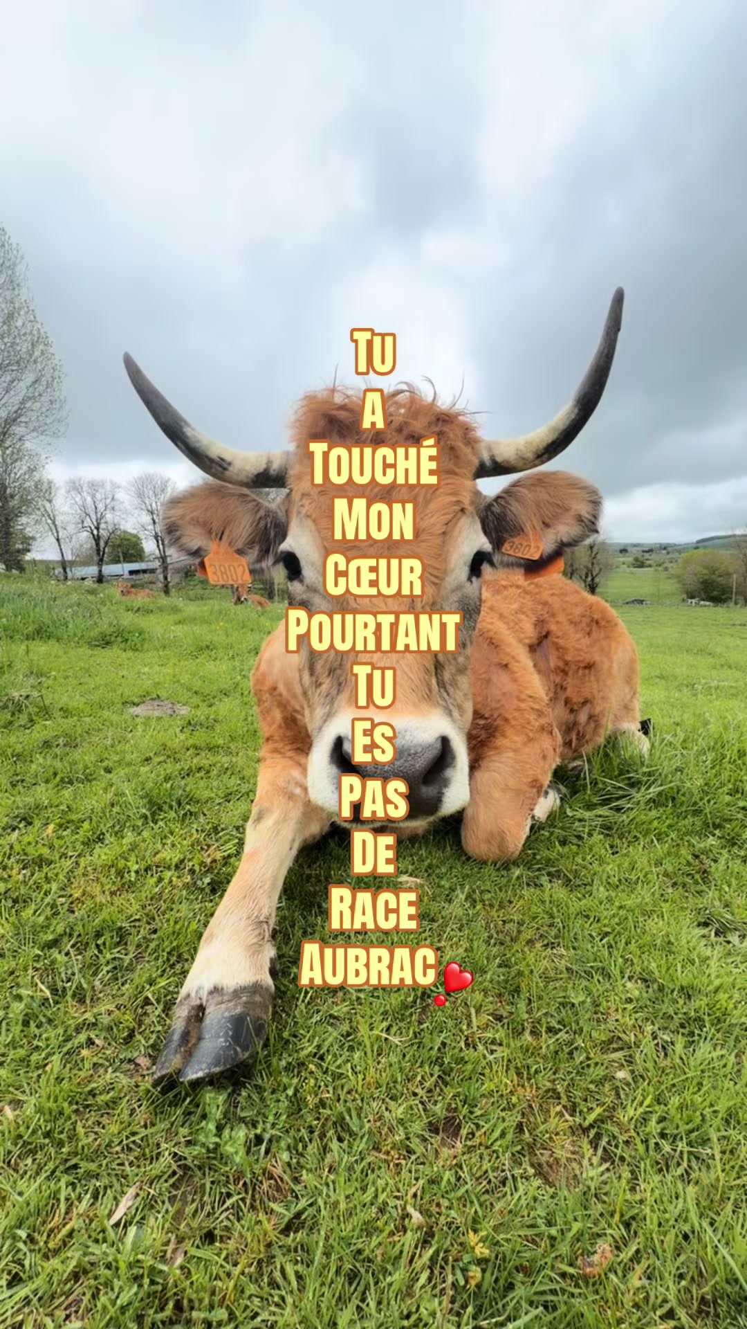 @𝐿𝑒𝓃𝒶👩🏼&zwj;🌾