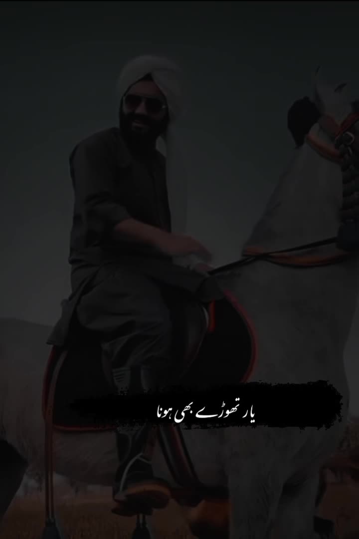 @SyedFasihUlHassanShah7