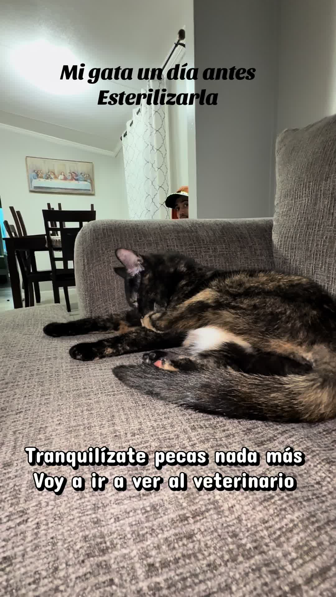@Michikaty