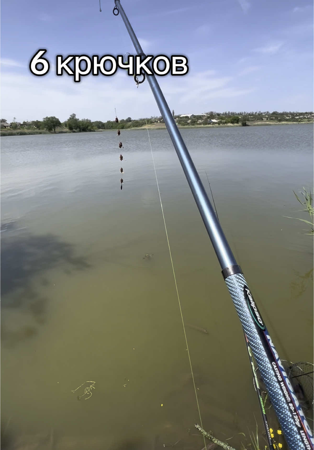 @Fish-Line
