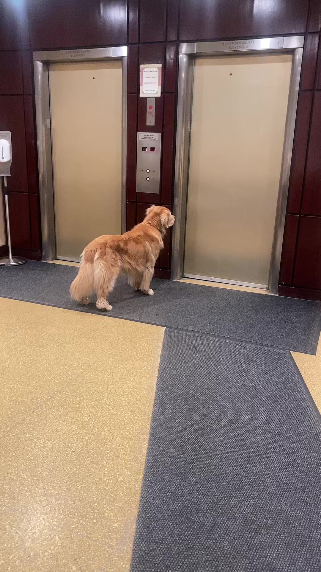 @NYC Doorman