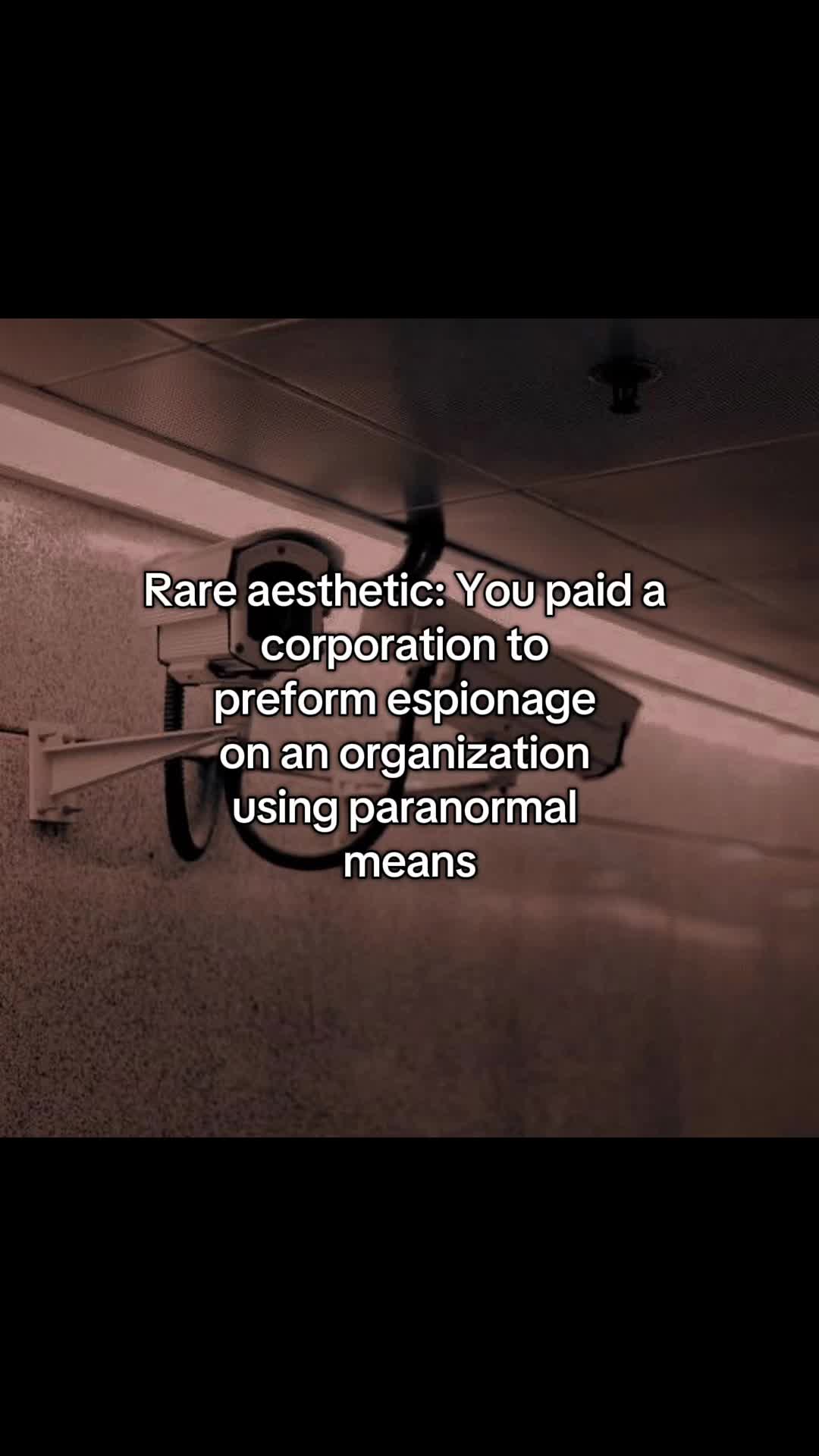 @#1 New Jersey Fan