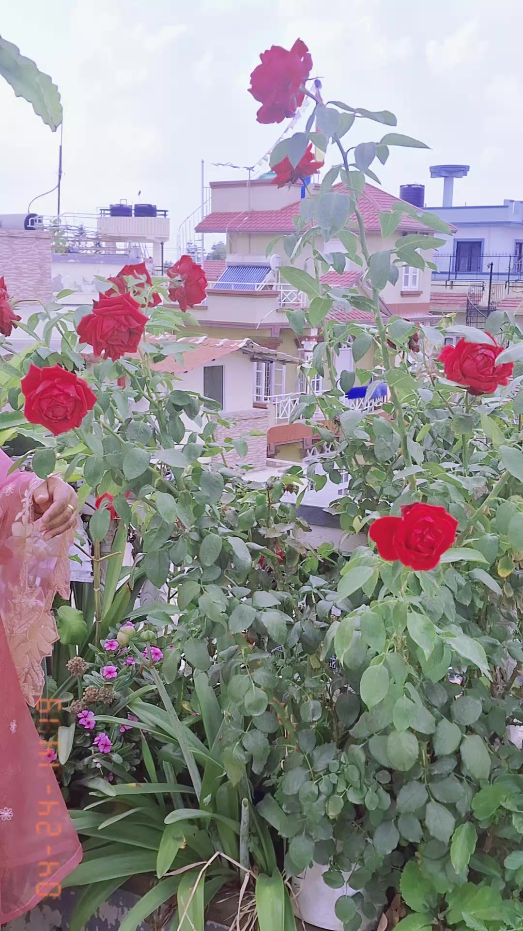 @kamala shrestha