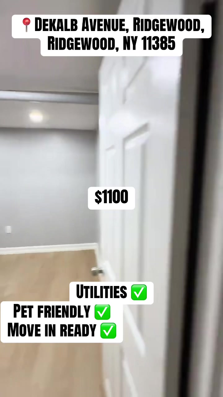 @Daily Rental Finds