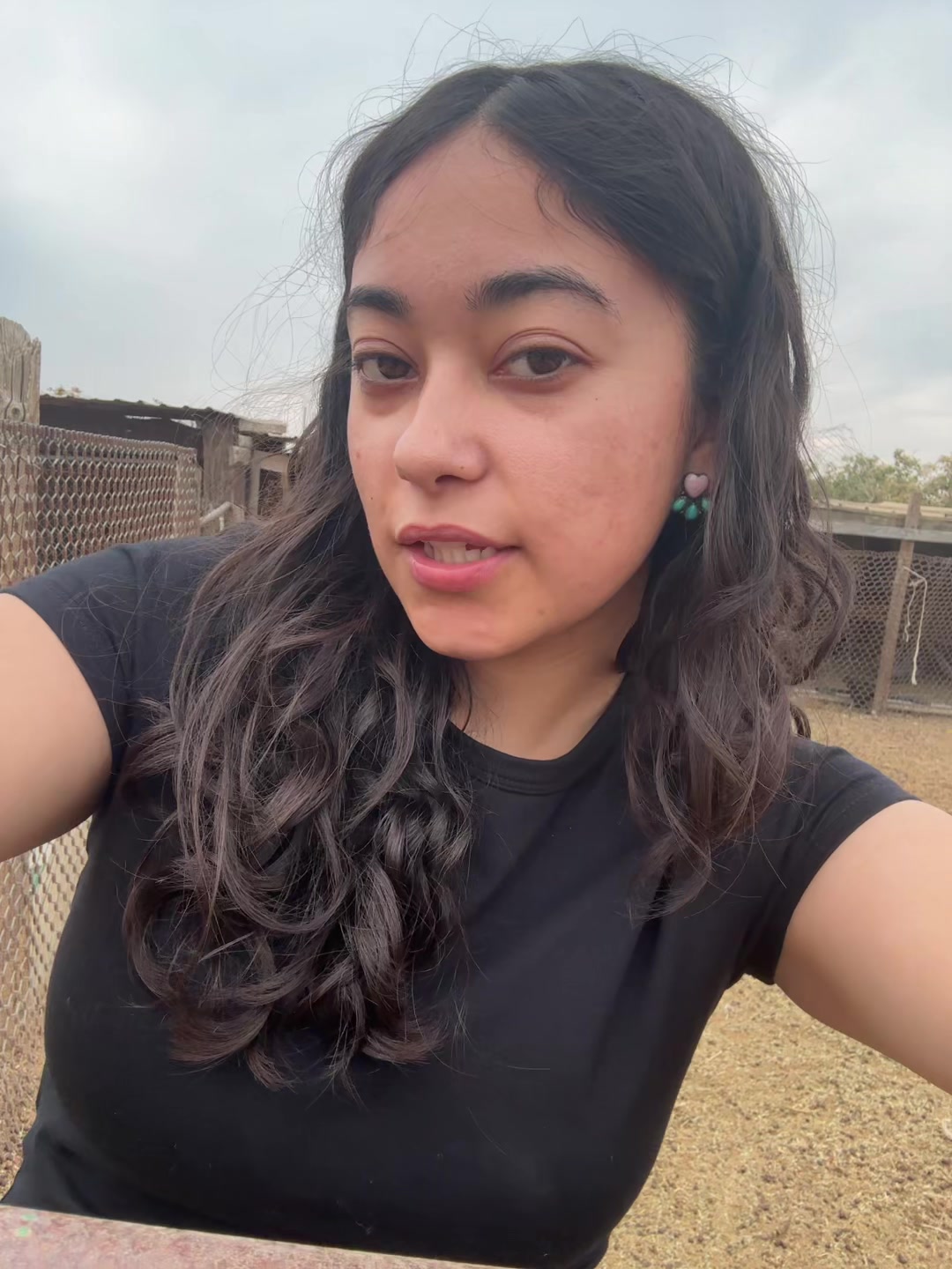 @🦎