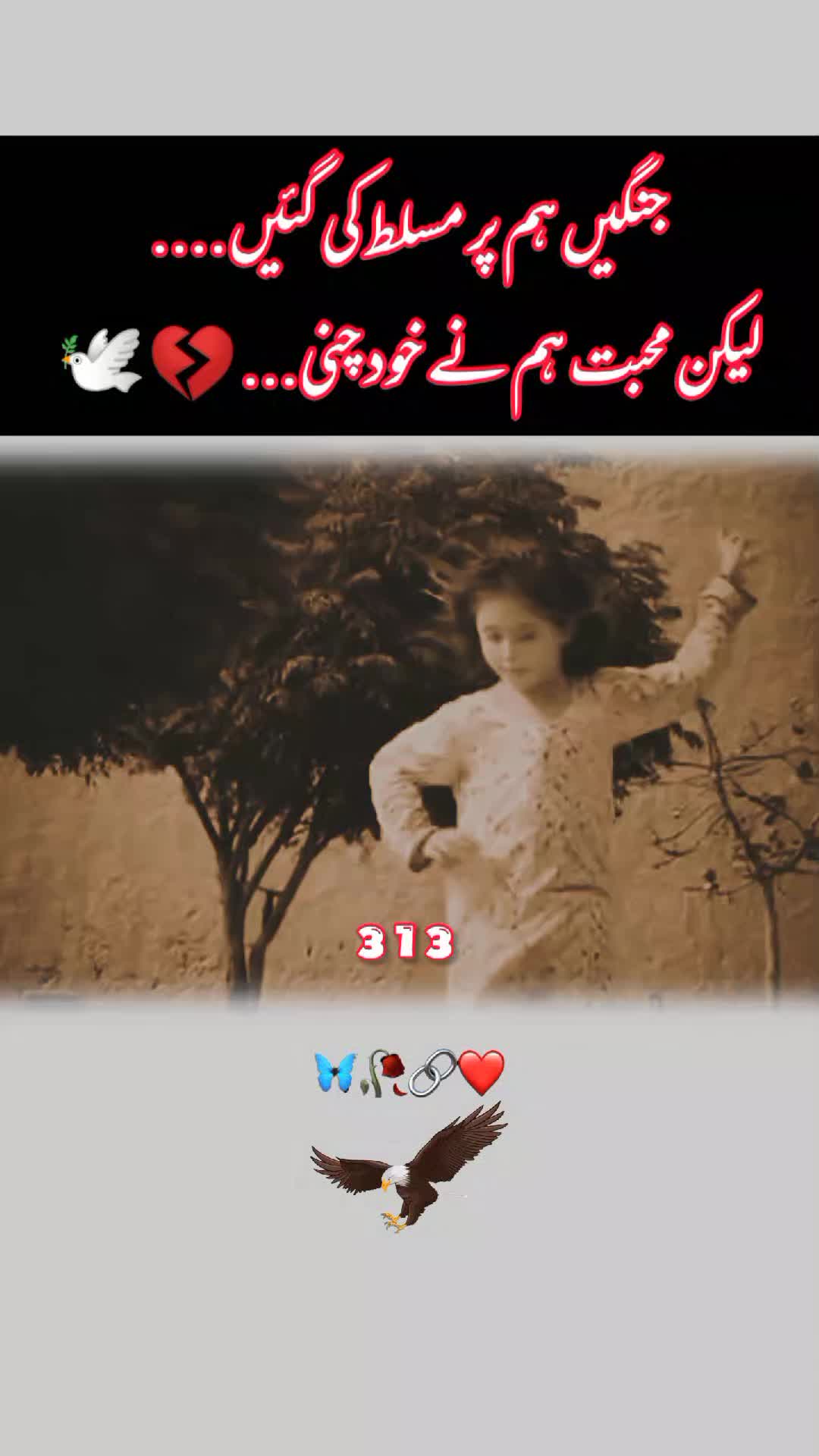 @⚔️ ٣١٣ ⚔️