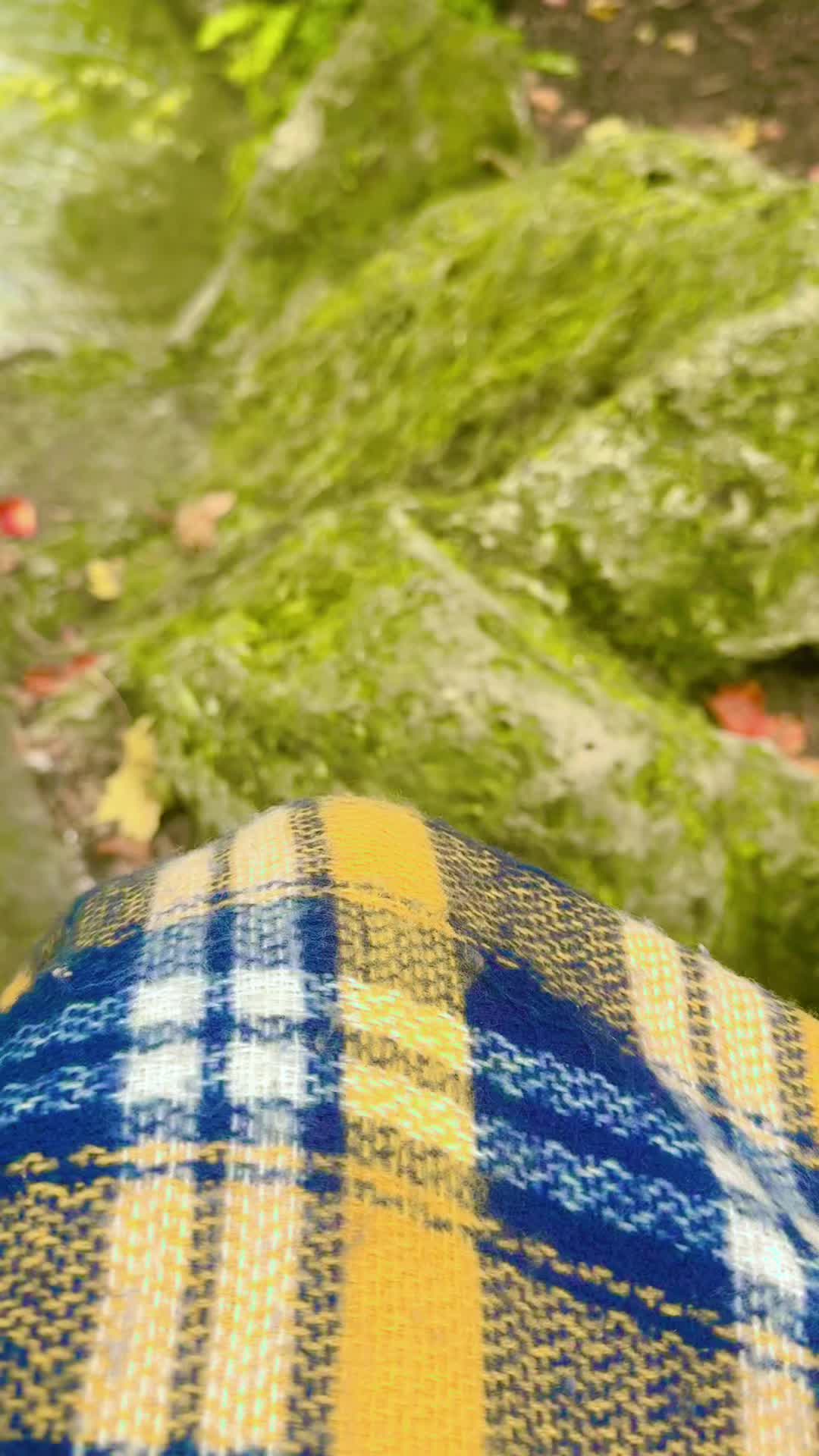 @thegermanexperience0