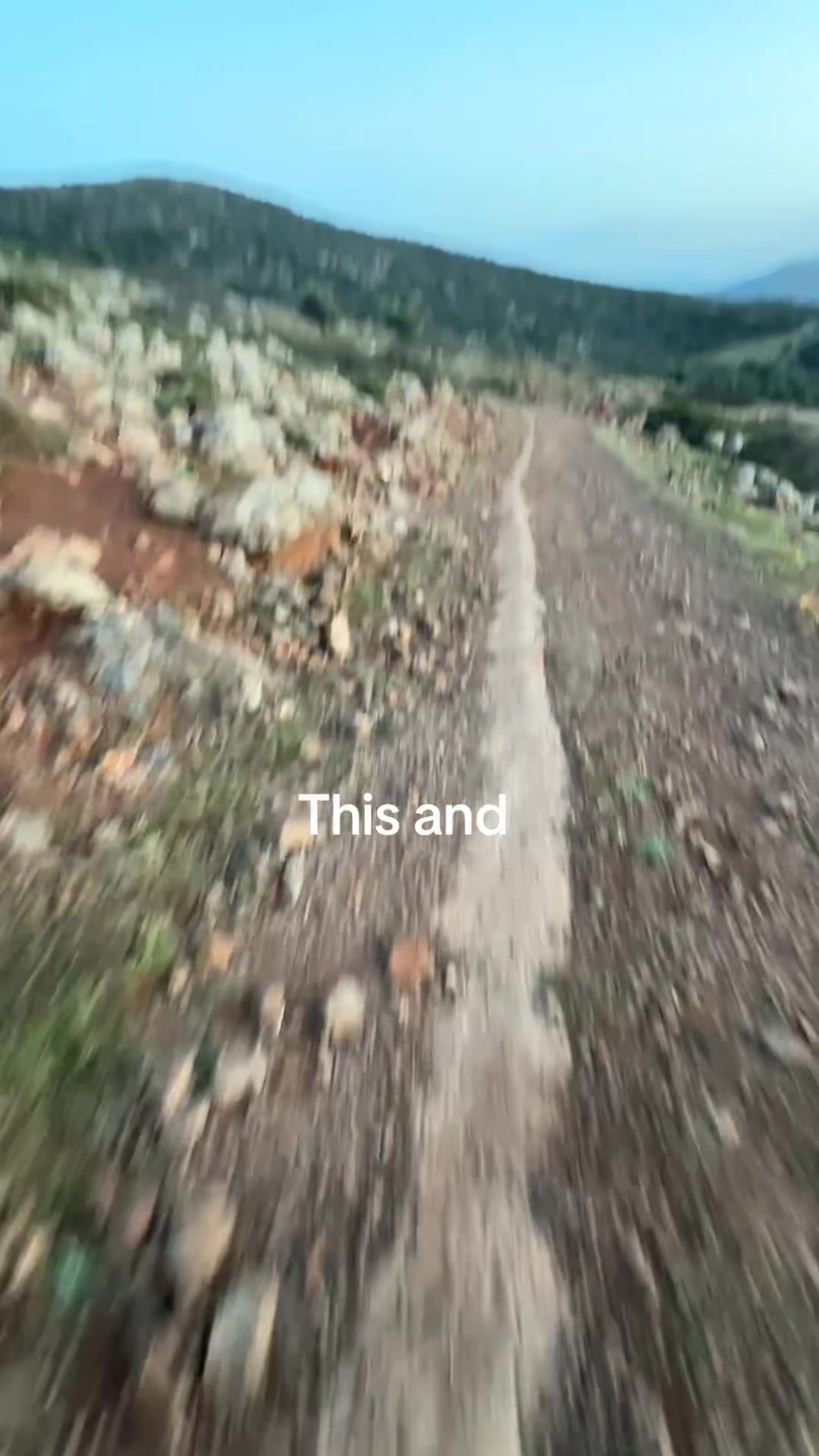 @tm