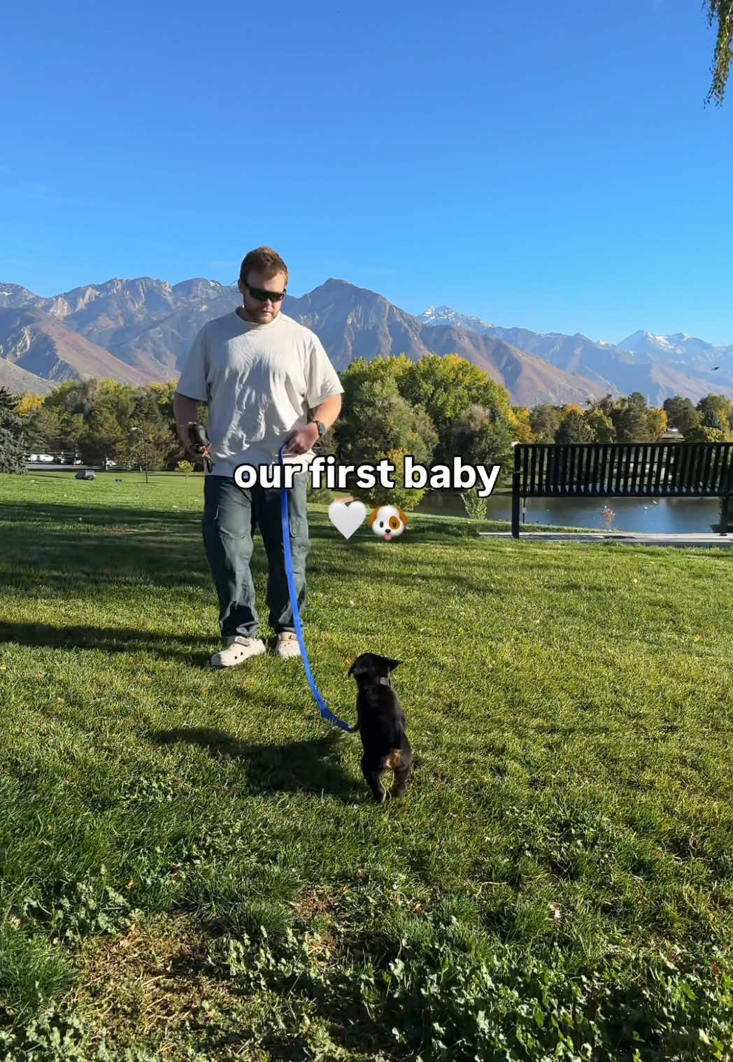 @Rex the Rottweiler
