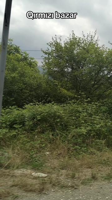 @Yegane.Laçınlı